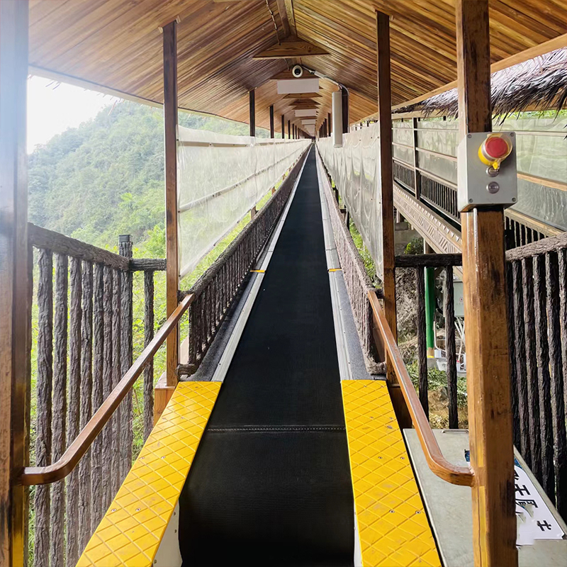 321915967 1704667313 575248026