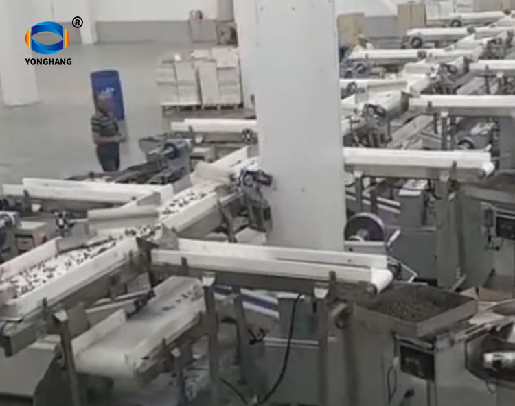 candy conveyor lines