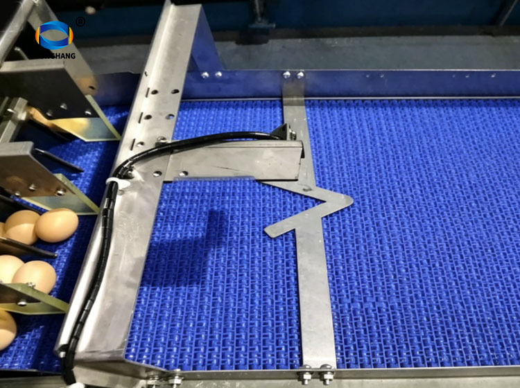 Module conveyor belt