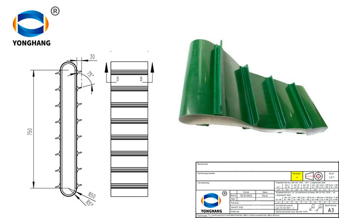conveyor belt with cleats