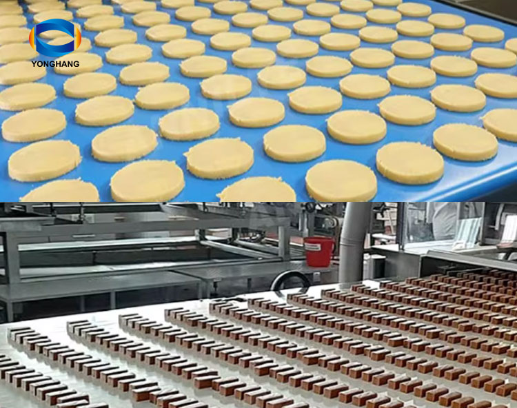 Pu belts Pu belts for Biscuit conveyor line