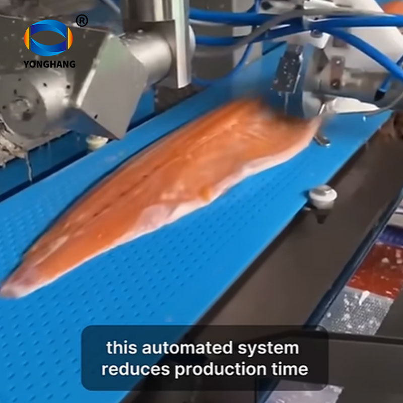 Salmon conveyor belt