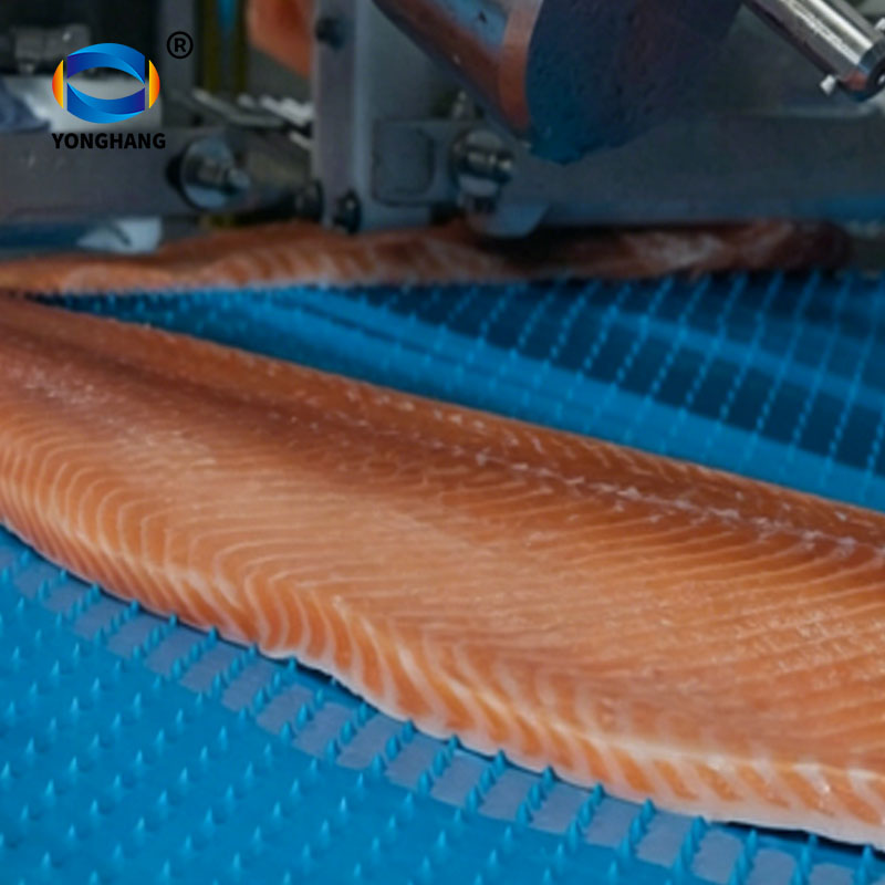 Salmon spiked conveyor belt