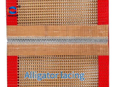 Alligator lacing Joints