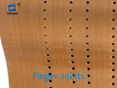 ptfe coated fiberglass fabric conveyor belts 5 Finger Joints