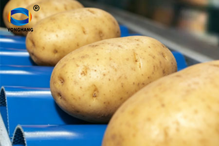 Pillow-Belts-for-Potatoes