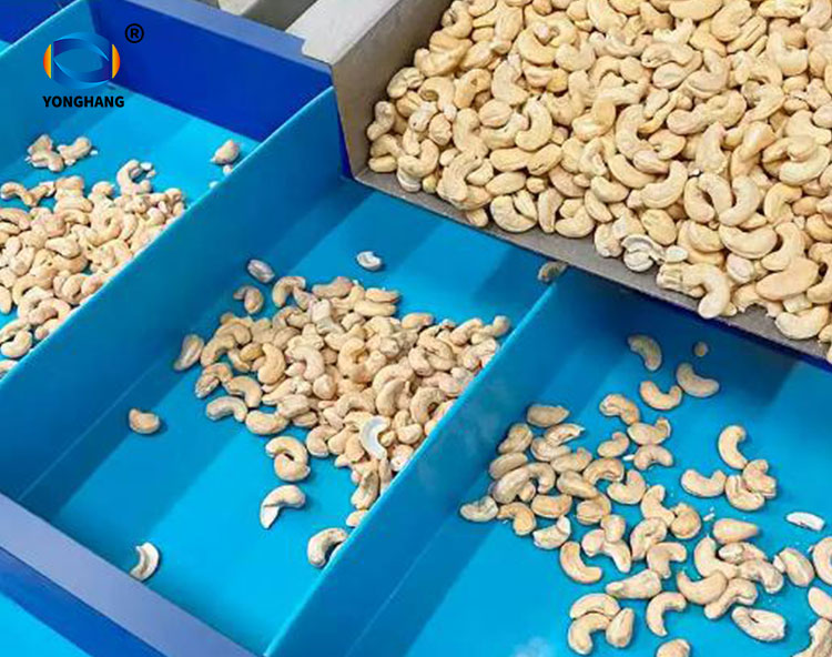 What is the difference between food-grade TPU and PVC conveyor belts? 5 food-grade TPU conveyor belts
