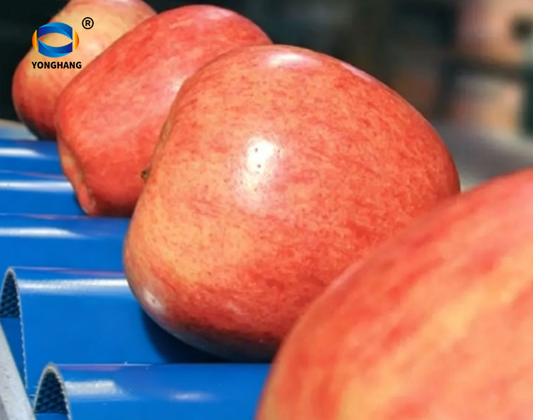 The PVC and TPU Conveyor Belt With Pillow (Wave) Cleats for for Fruits and vegetables Conveying 3 Pillow Belts for Fruits